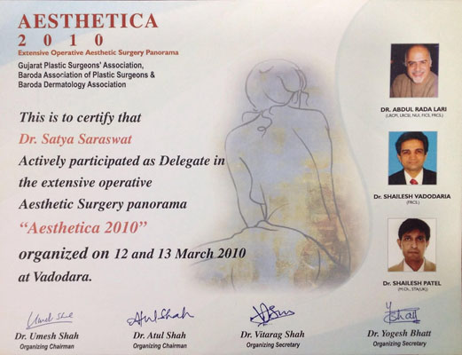 2010-AESTHETICA, Extensive Operation Aesthetic Surgery Panorama